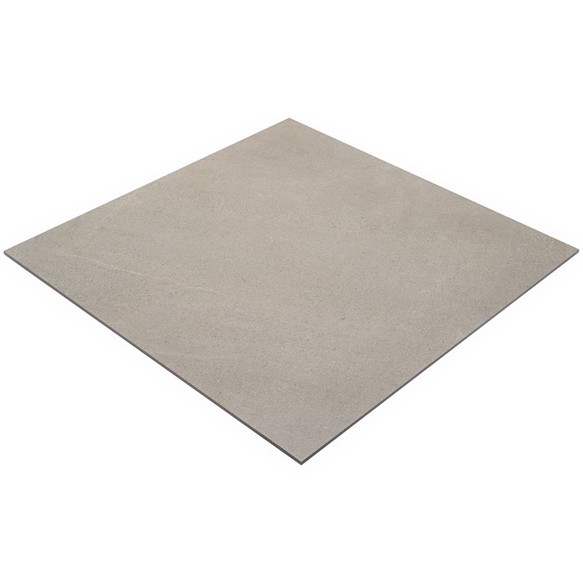 Matte Porcelain Floor and Wall Tile (2 pieces/17.43 Sq. ft./Case) Z91077