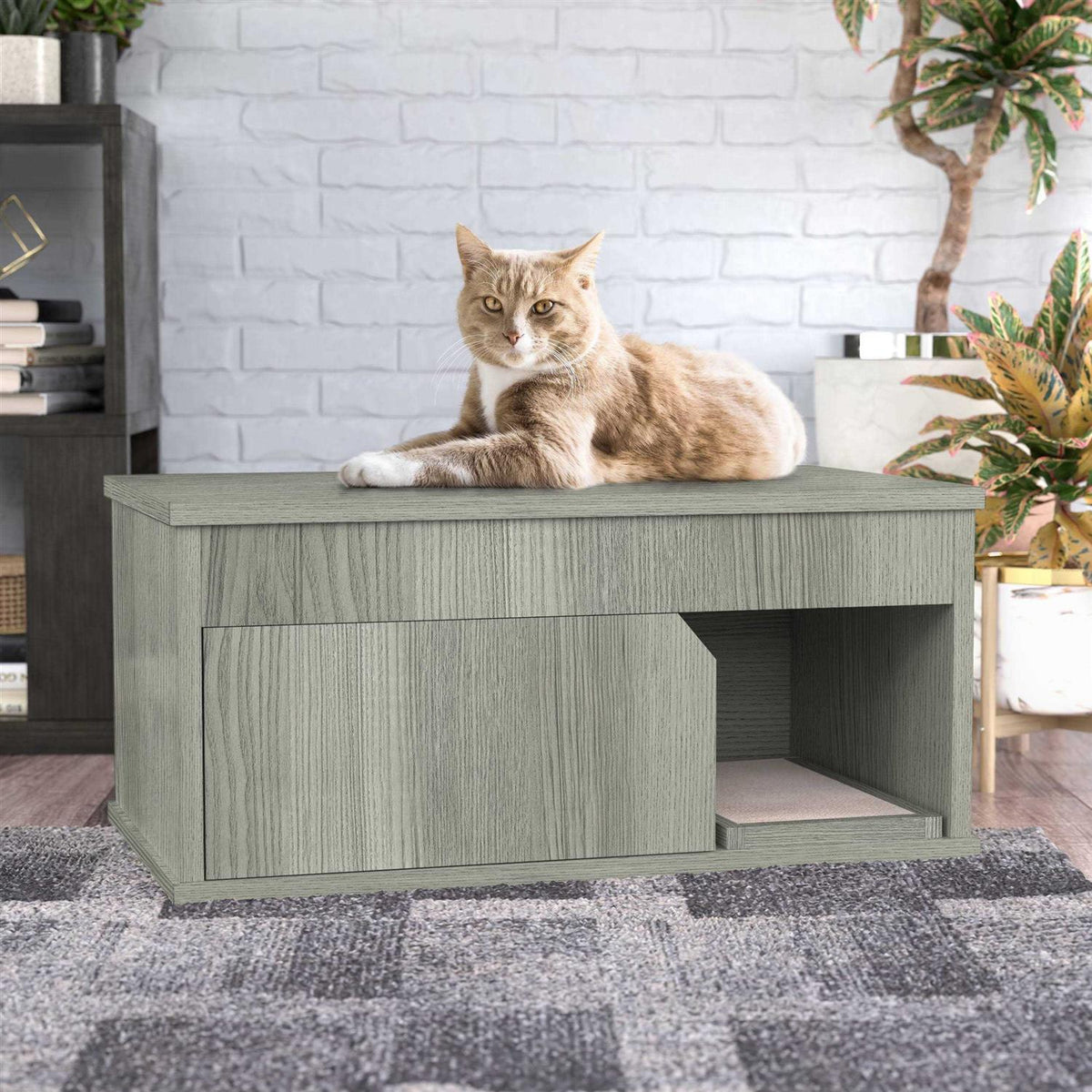Cat Litter Box Enclosure One Door Z6819