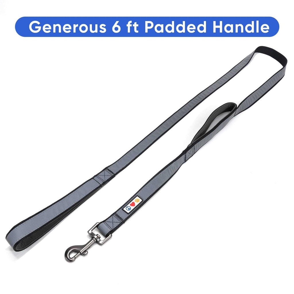 6 ft Dog Leash S3736