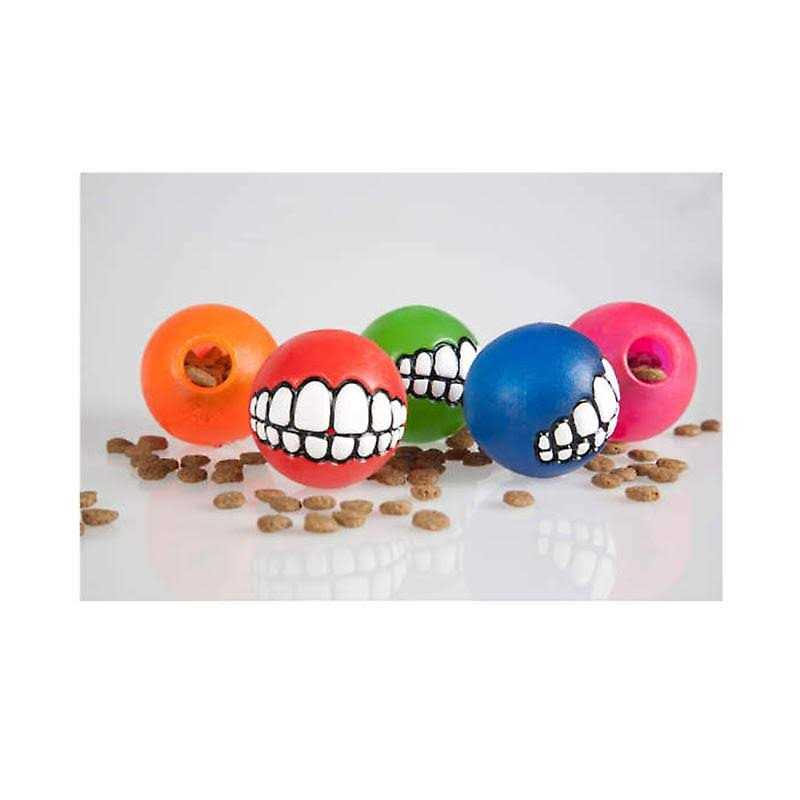 Dog Toy X801677