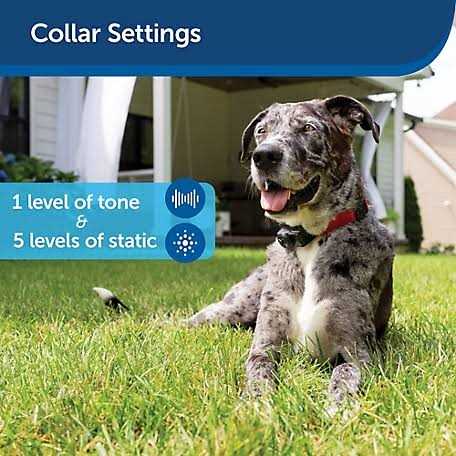 Receiver Collar S36316