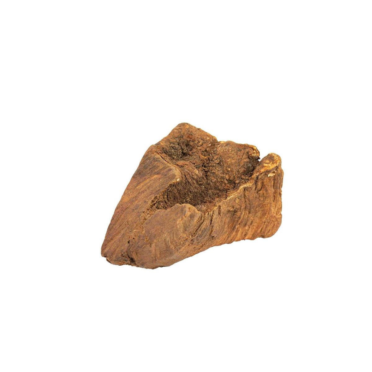 Chew Root for Dogs J8804