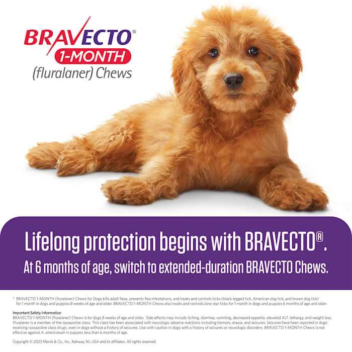 1-Month Chews for Dogs F2760