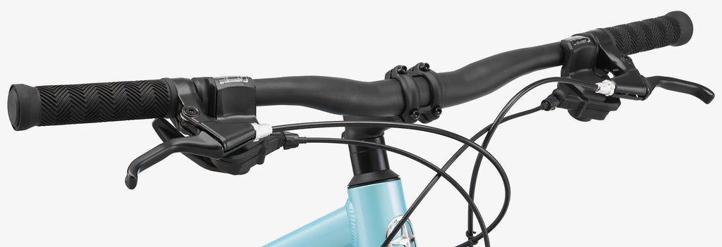 Blue 21 Speed Women's Mountain Bike C8834