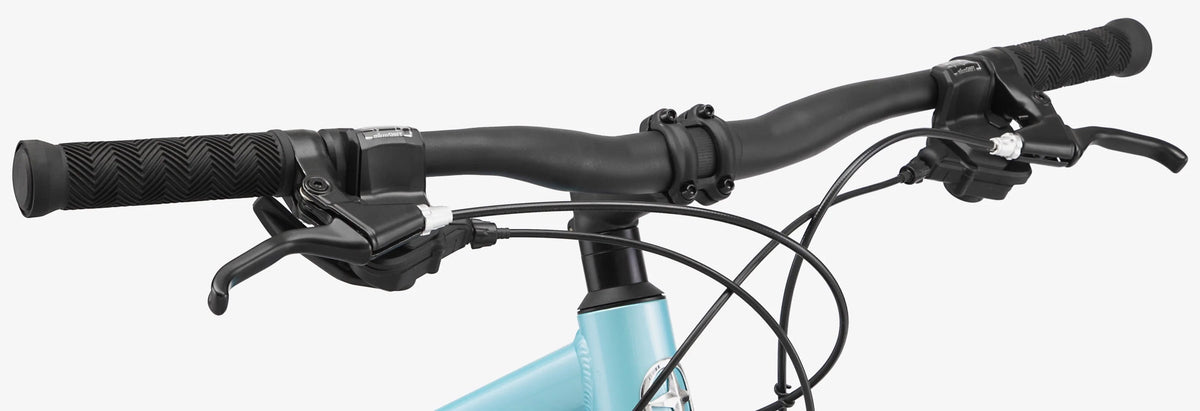 Blue 21 Speed Women's Mountain Bike C8834