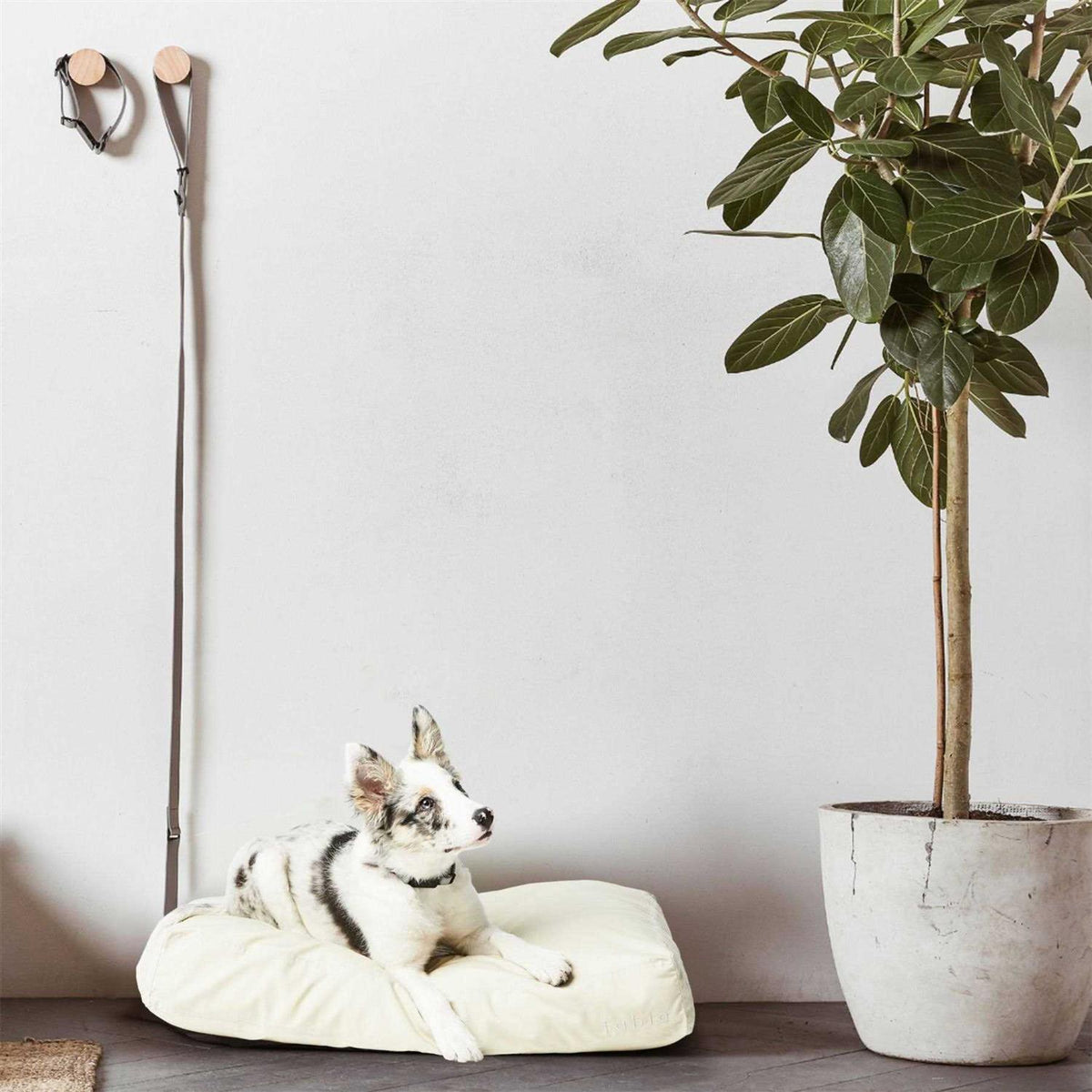 Dog Bed W8170