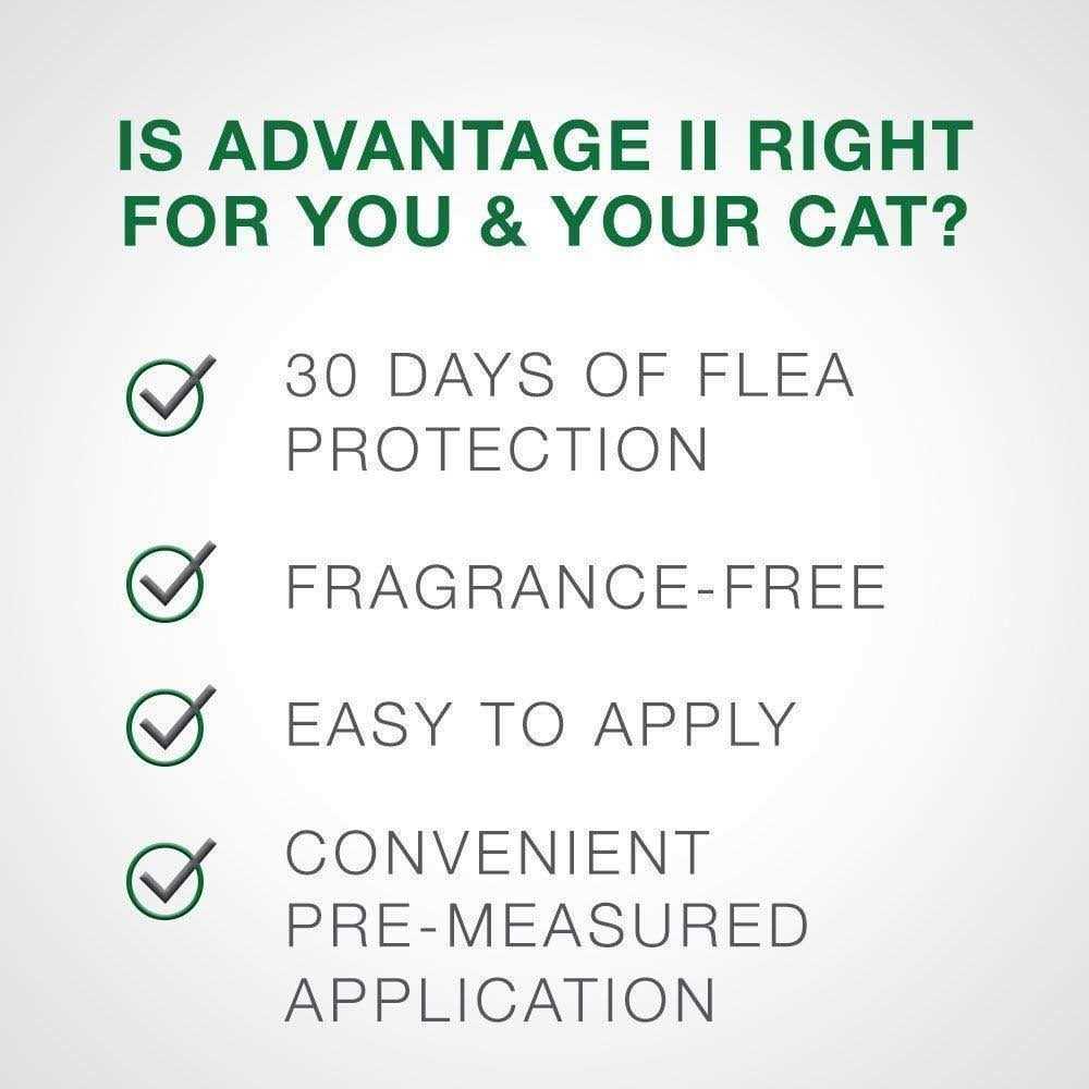 Flea Treatment Cats D314