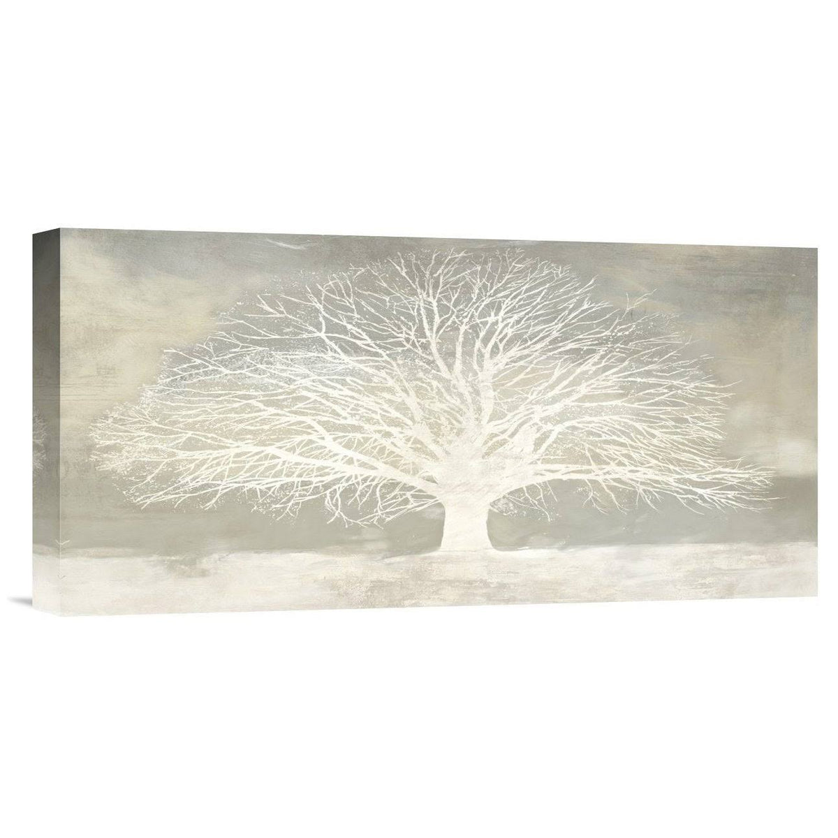 White Tree Stretched Canvas Artwork 18x22H x 36x22W B731