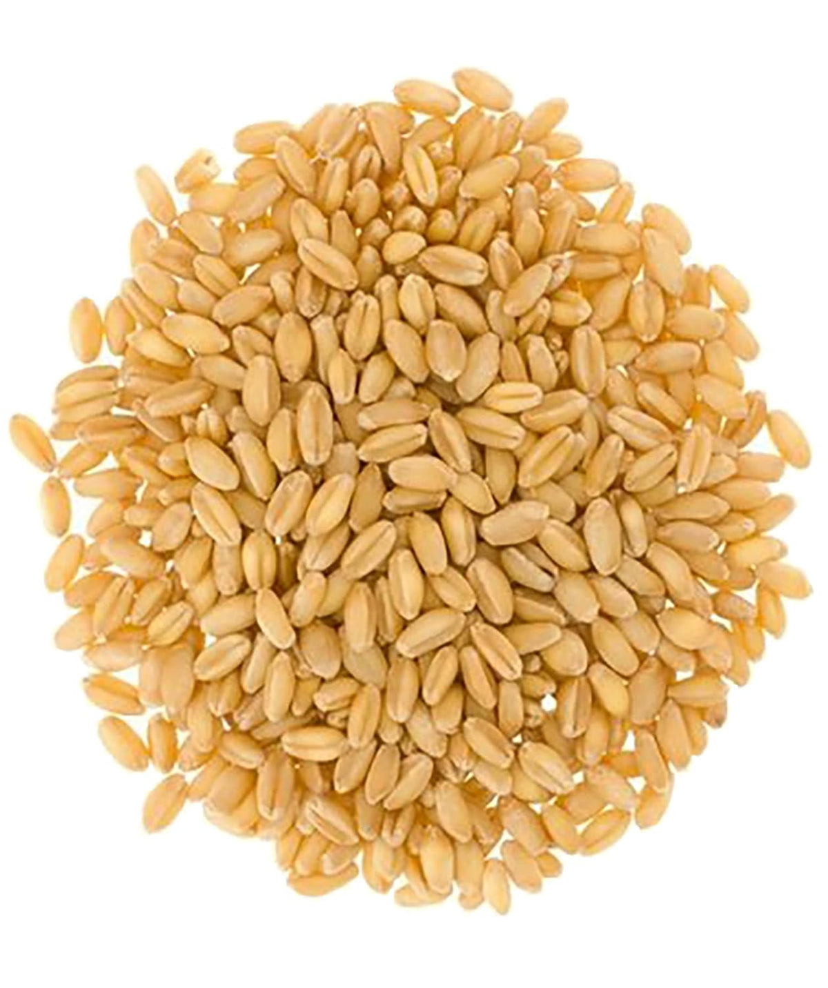 25 LBS Soft White Wheat Berries N4780