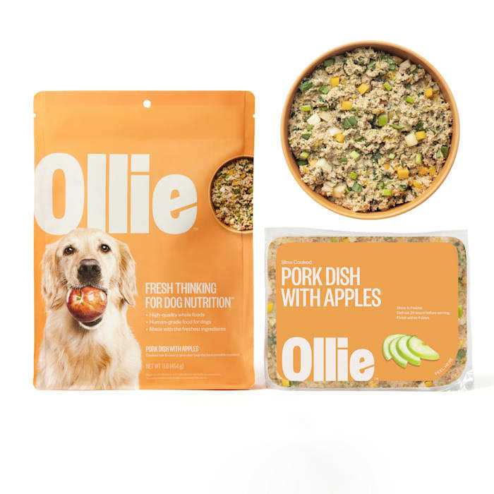 Frozen Dog Food B4790