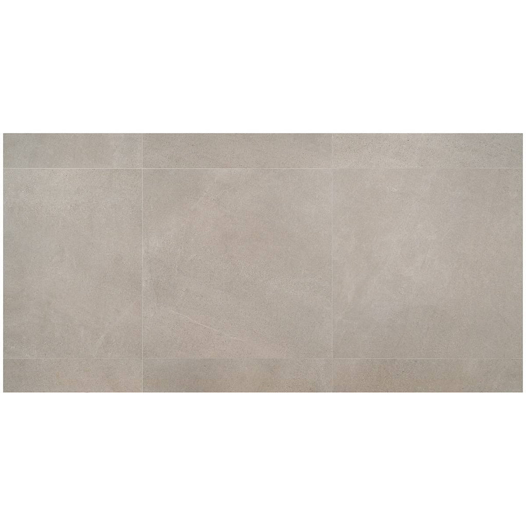 Matte Porcelain Floor and Wall Tile (2 pieces/17.43 Sq. ft./Case) Z91077