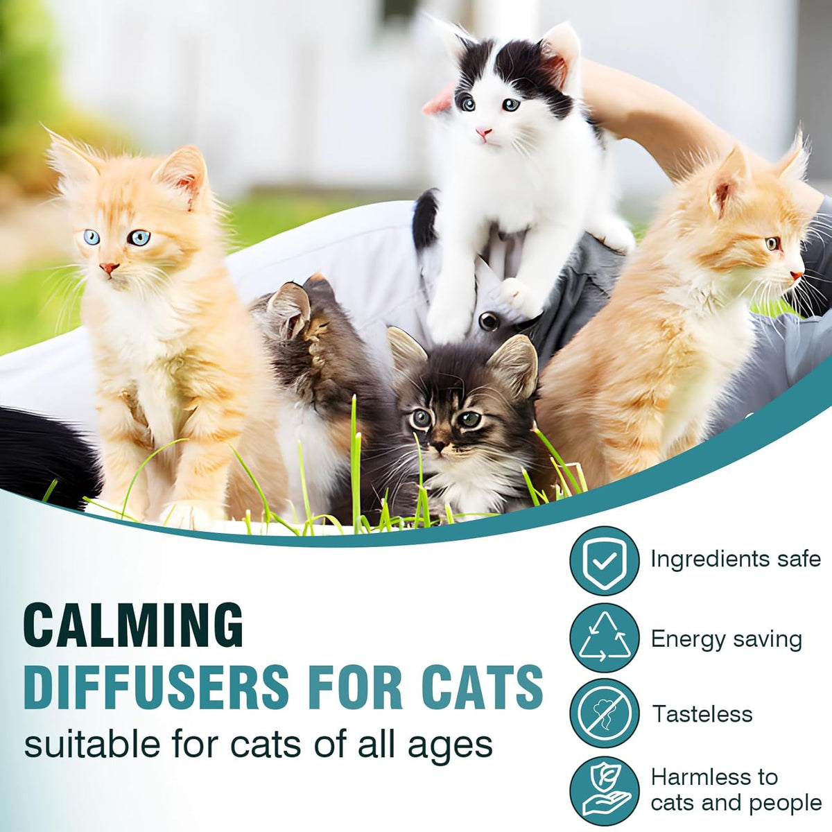 Cat Calming Pheromone Diffuser 48ml Refill B5771