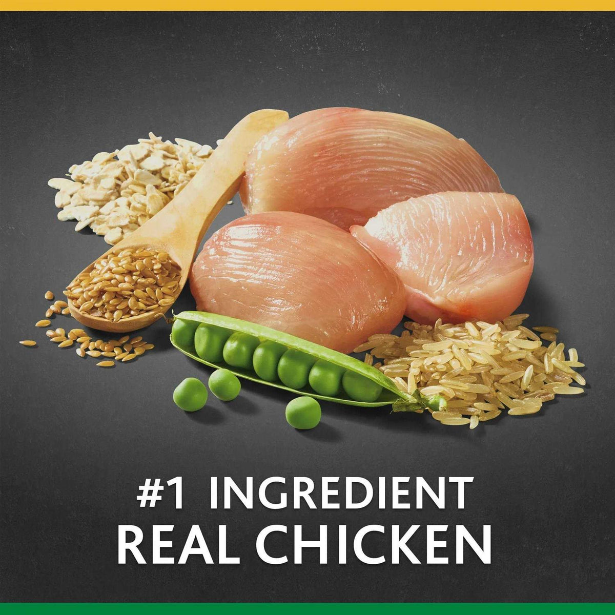 Large Breed Chicken & Brown Rice Recipe Dry Dog Food P6876