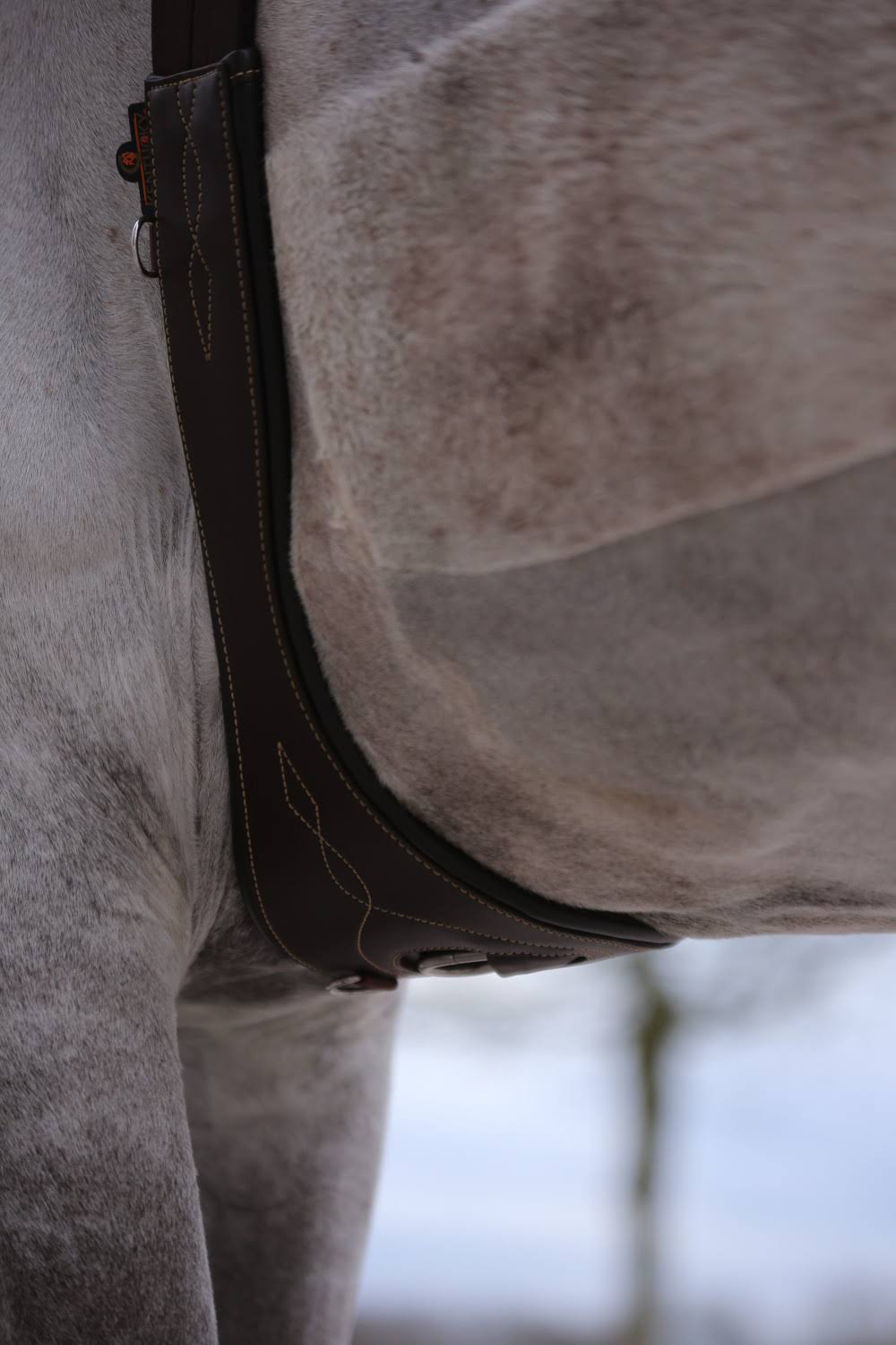 Anatomical Saddle Girth N699556