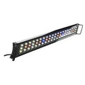 48-54x22 LED Fixture W39799