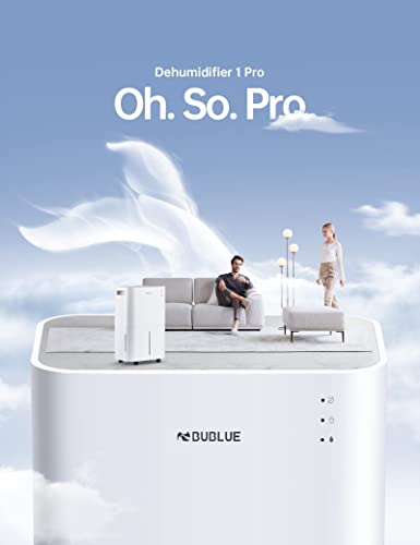 Dehumidifier with Auto or Manual Drainage, 36 db Noise Reducing, 3 Operation Modes O23159