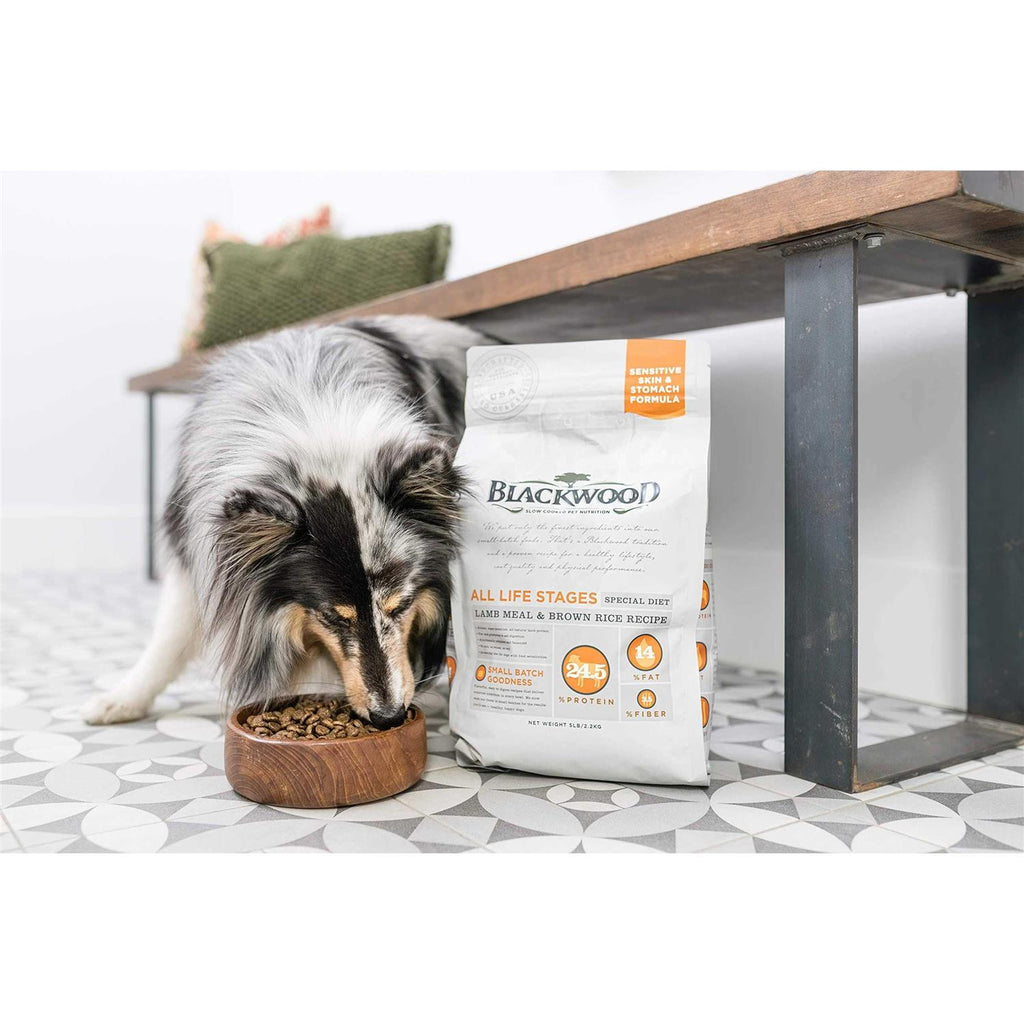 Pet Food Z415396