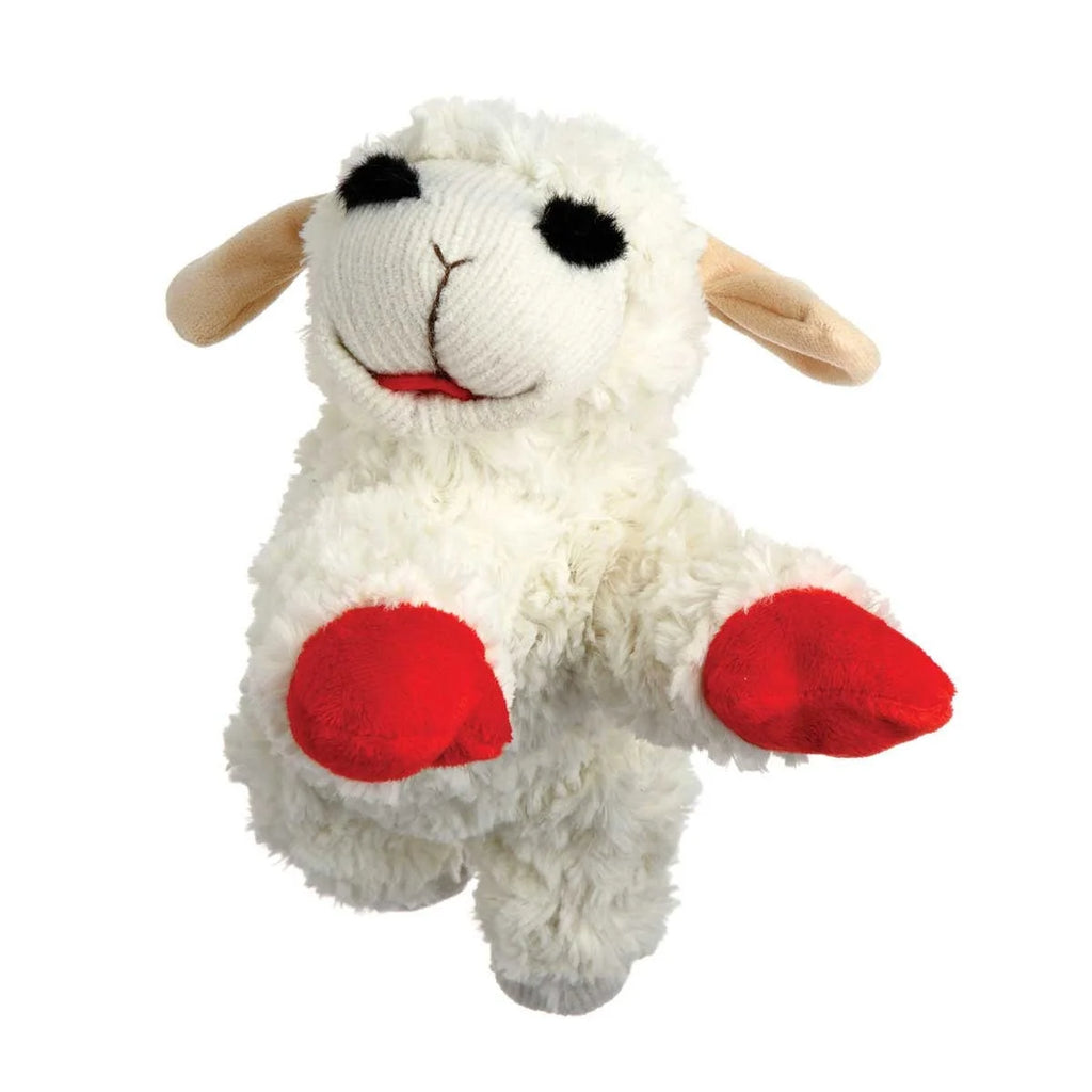 Soft Plush Squeaker Dog Toy X435