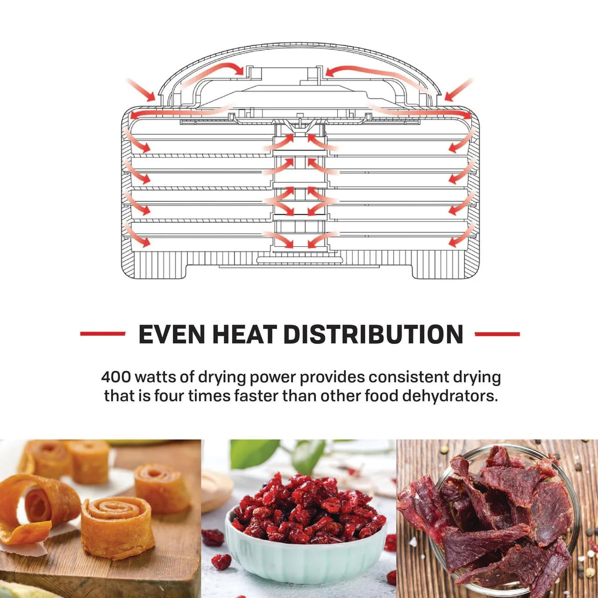 Food & Jerky Dehydrator Y279230