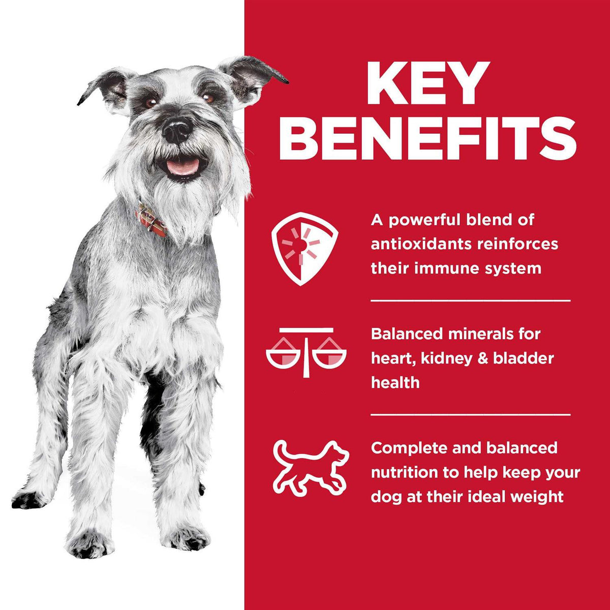 Adult 7+ Chicken & Barley Dog Food X1544