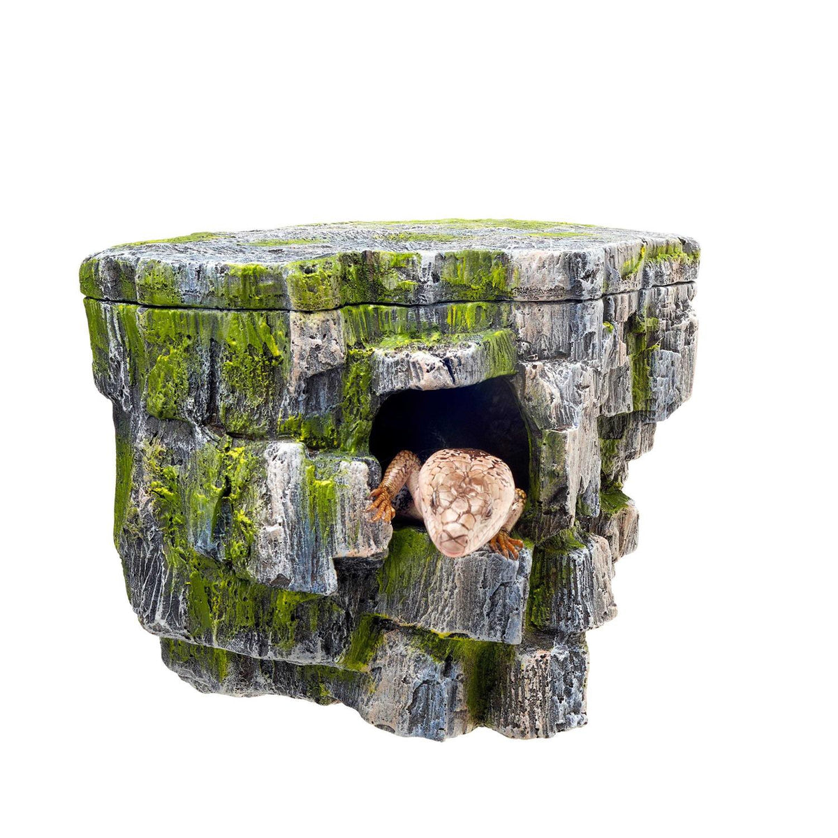 Vertical Rock Cave N1472