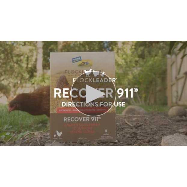 Recover 911 D52754