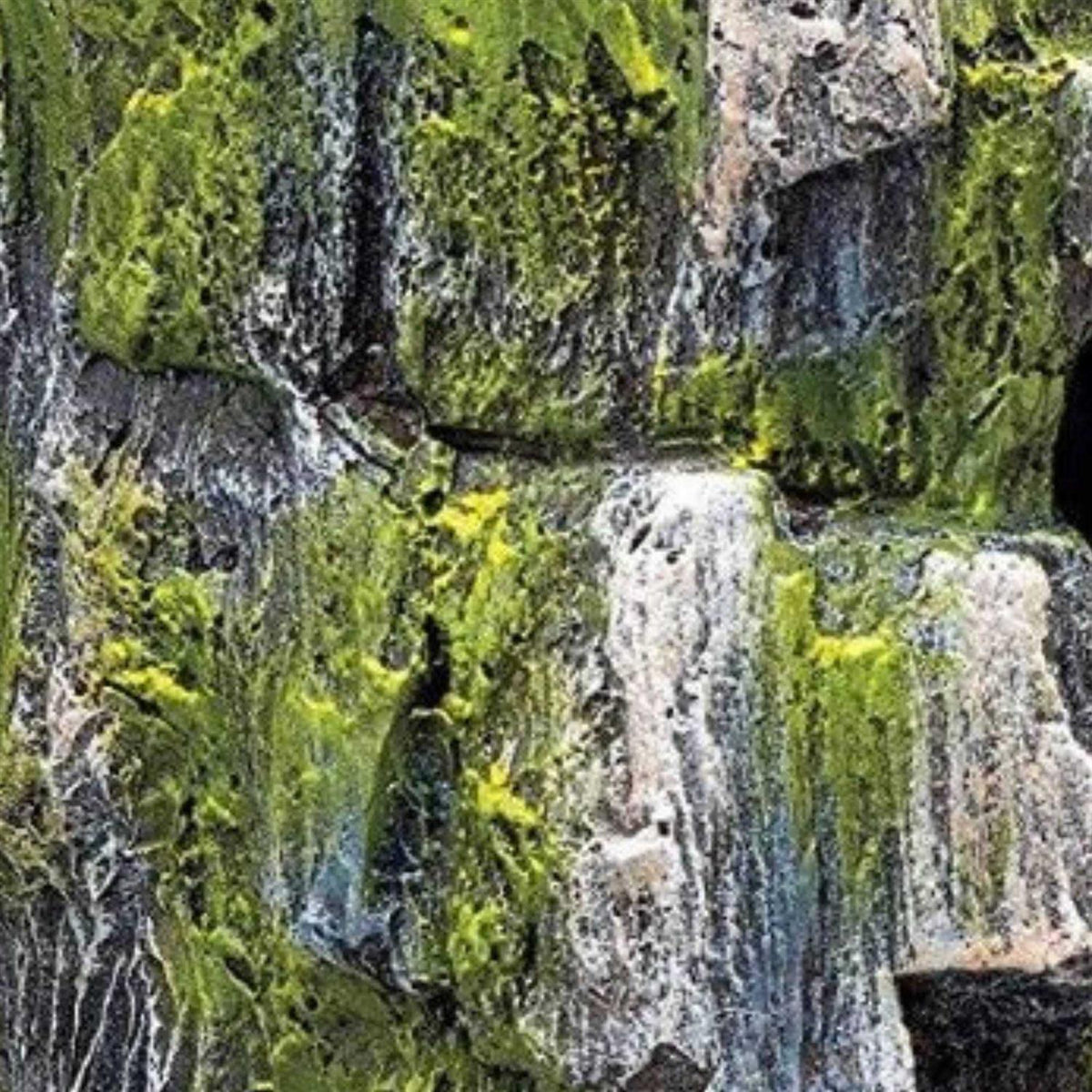 Vertical Rock Cave N1472