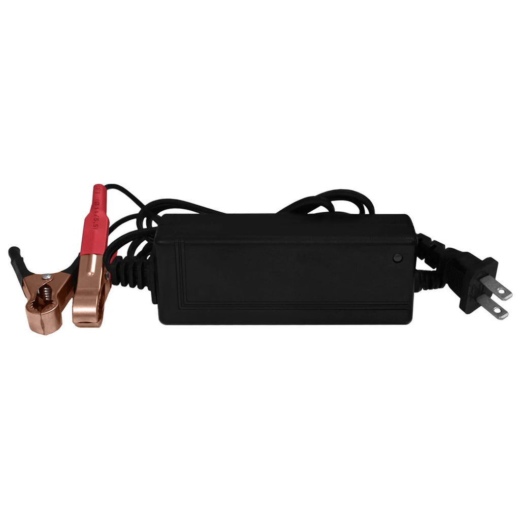 12V Deep Cycle Battery with Charger D956853
