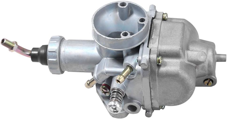 Carburetor with Fuel Line Bolts Z308716
