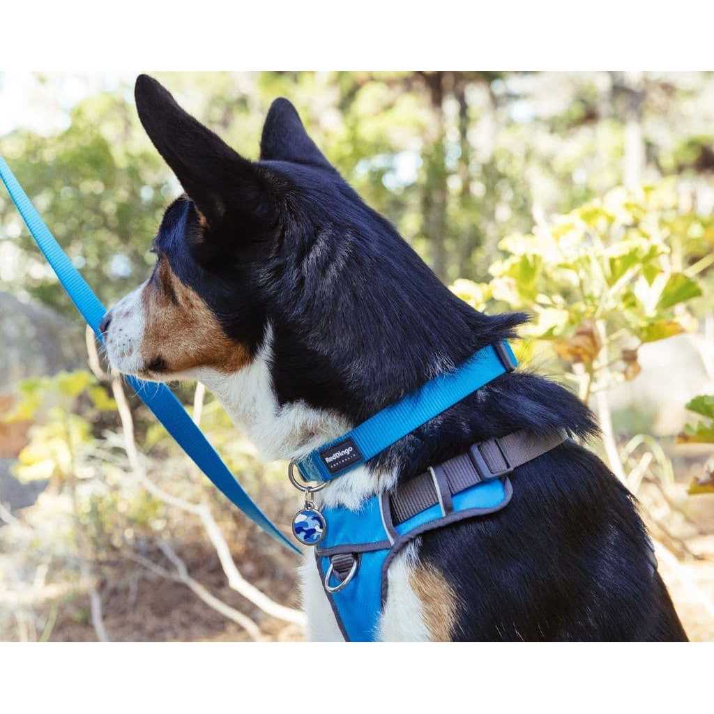 Padded Dog Harness P681728