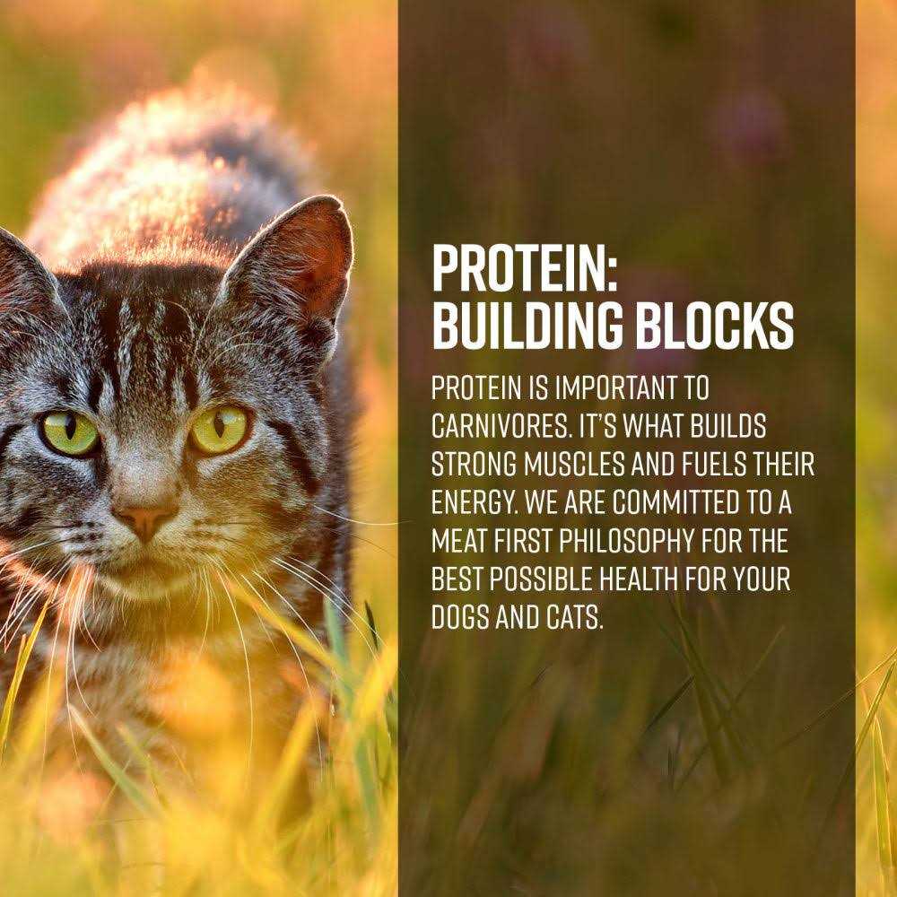 Ranch & Meadow Cat Dry Food J51555