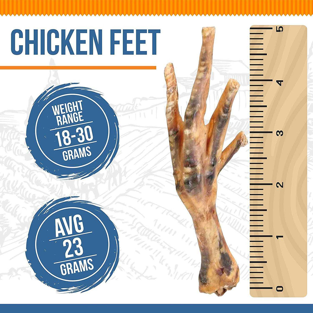Chicken Feet Dog Y991734