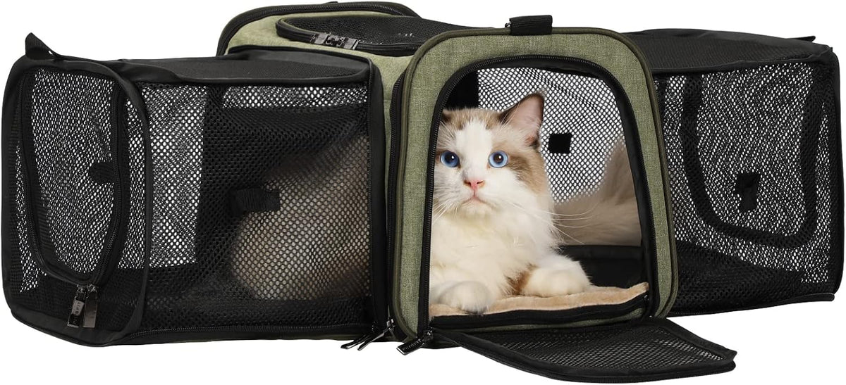 Expandable Soft-Sided Pet Carrier Pack of 2 G55156