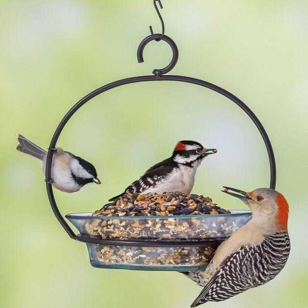 Hot Pepper Blend Bird Food A684