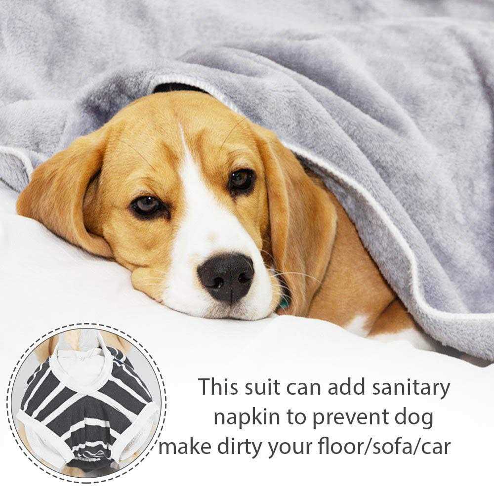 Dog Diapers Sanitary Panties Pet Recovery Suit H53607
