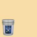Satin Interior Paint (5-Gallon) C51557