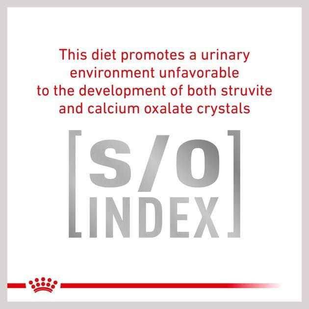 Veterinary Diet Cat Food B111