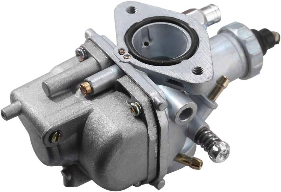 Carburetor with Fuel Line Bolts Z308716