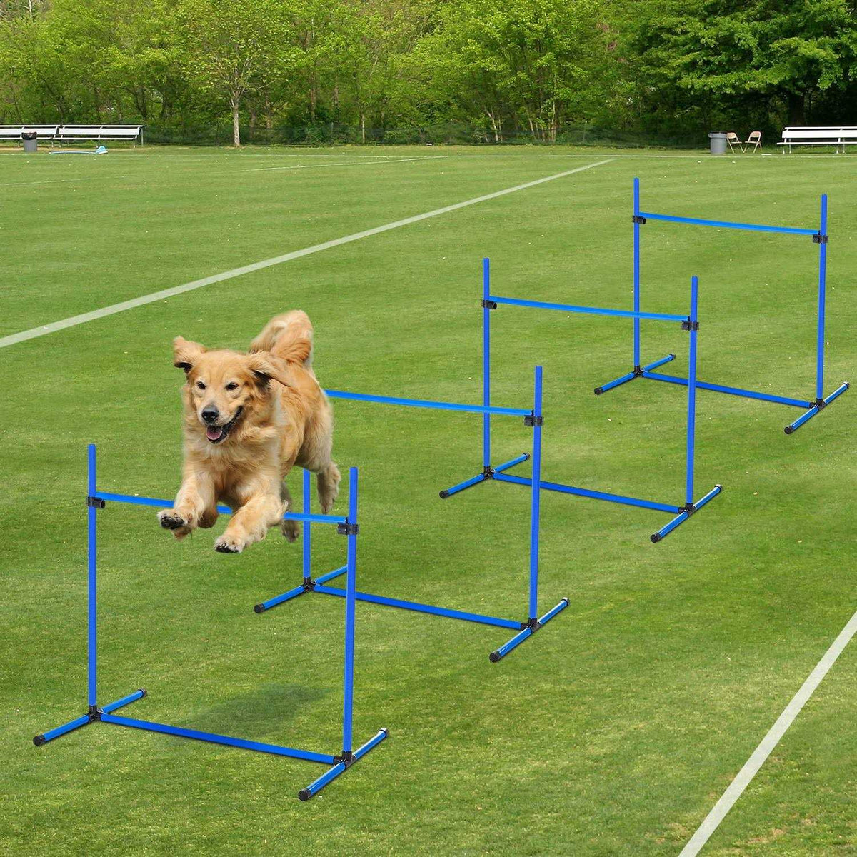 4 Piece Dog Agility Equipment with Adjustable Height Jump Bars Z21030