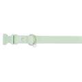 Dog Collar D625