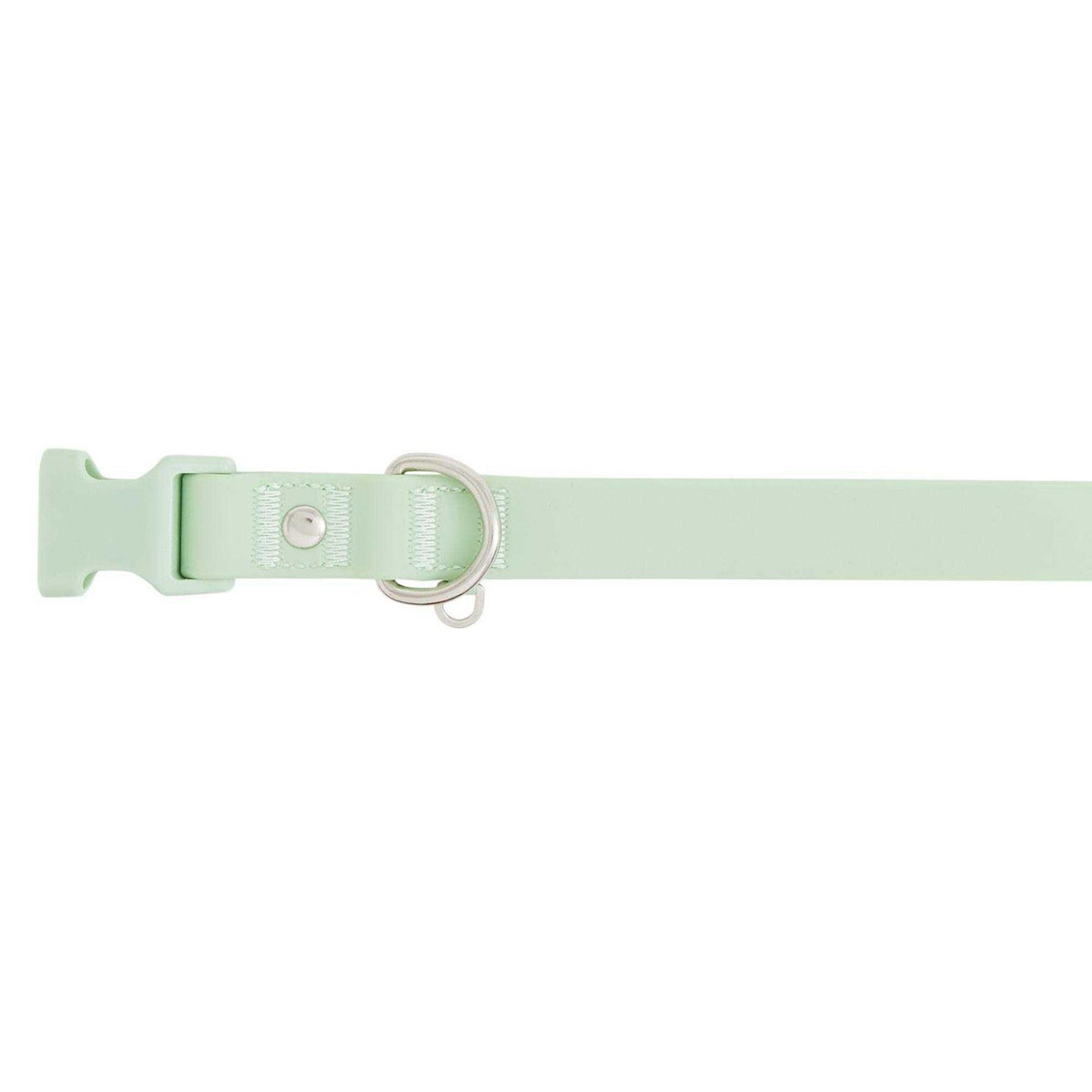 Dog Collar D625
