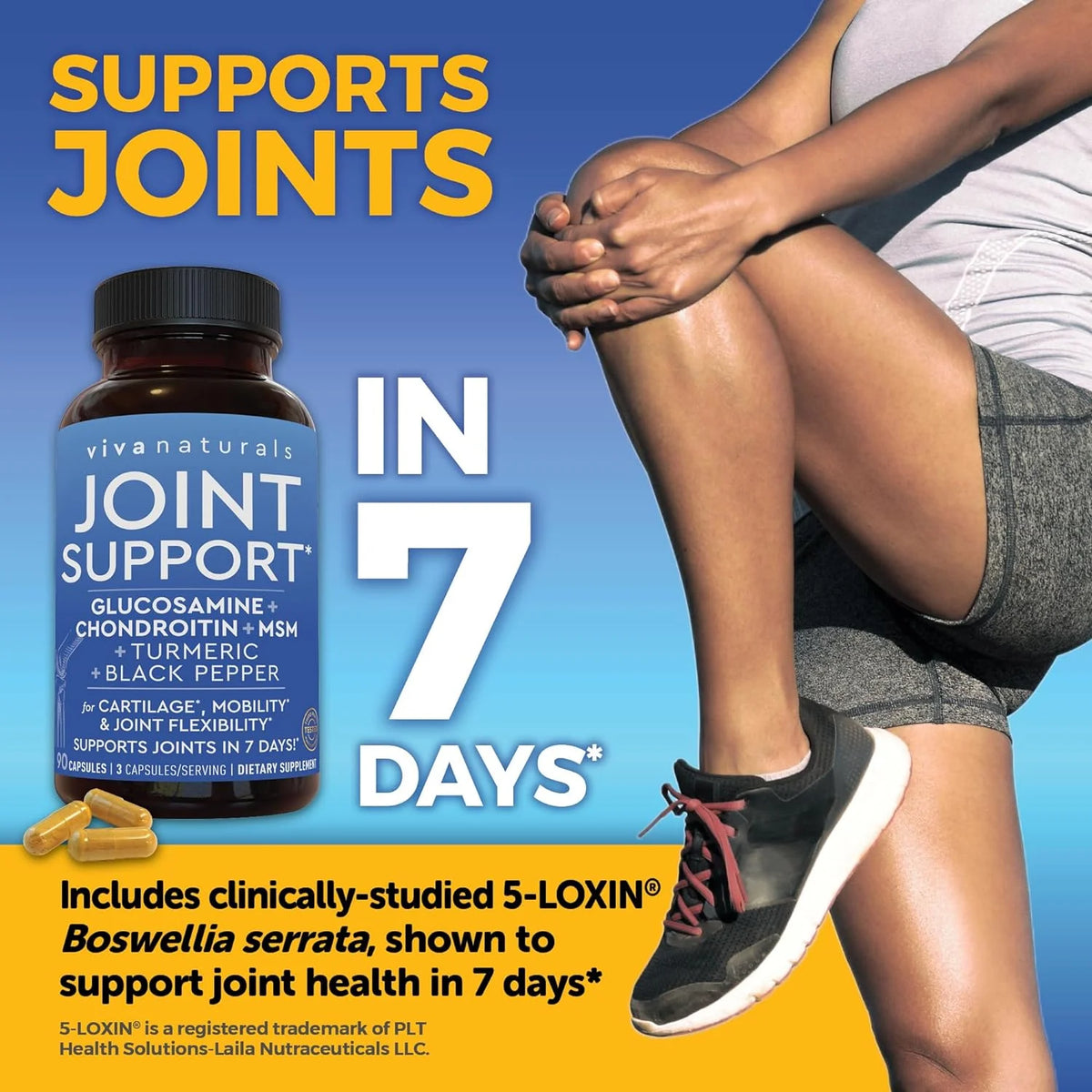 Glucosamine Chondroitin MSM 90 Capsules Joint Support M9500