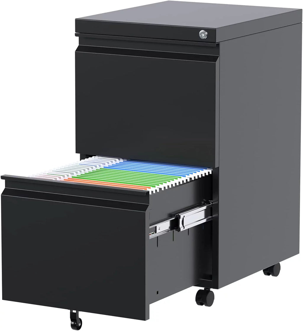 Black 2 Drawer Metal File Cabinet with Lock O815855