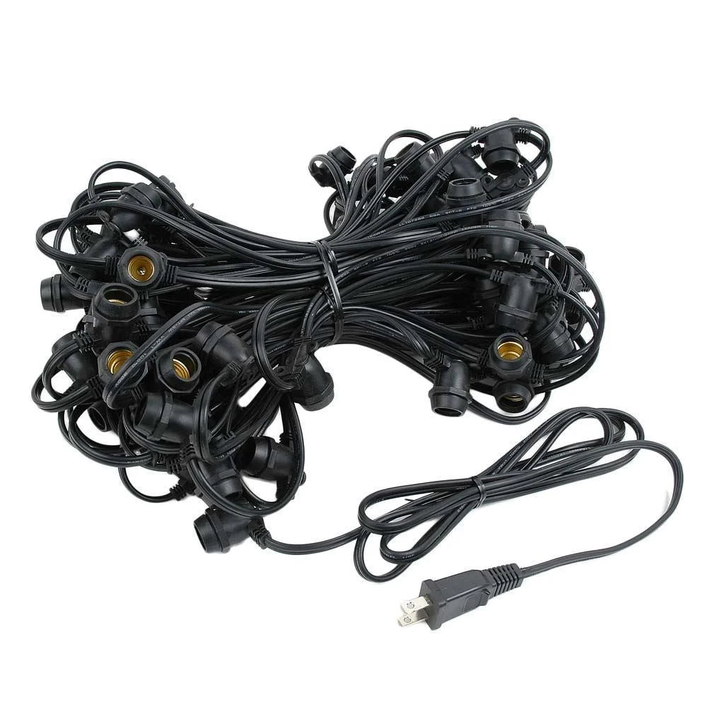 25' Clear Incandescent G50 Globe String Lights, Black Wire, 25 Sockets B702