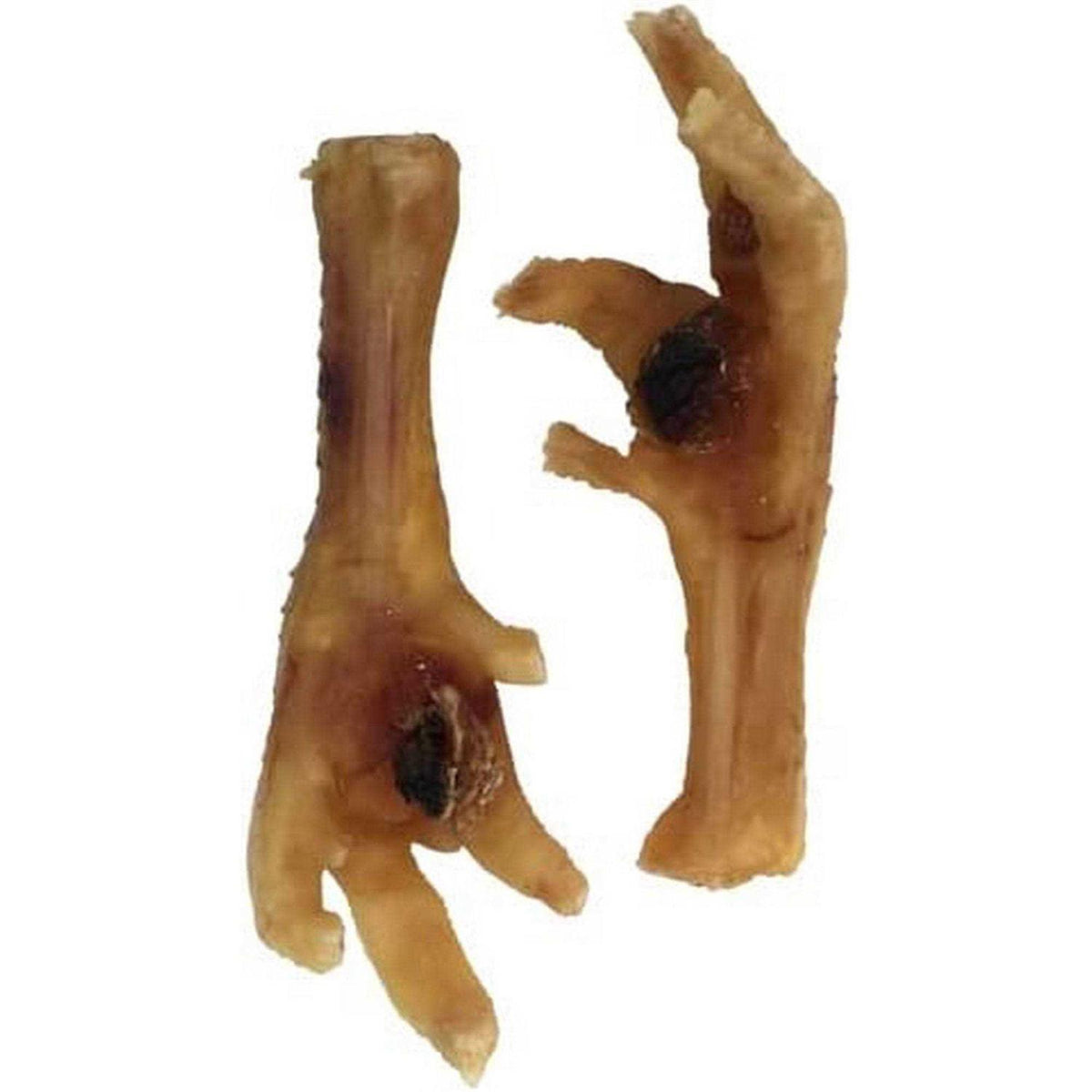 Chicken Feet Dog Y991734