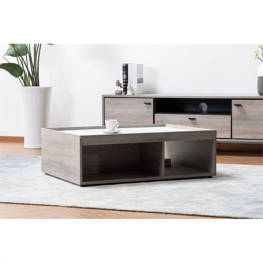 2-Piece Sleeper Sofa and Coffee Table Set K882