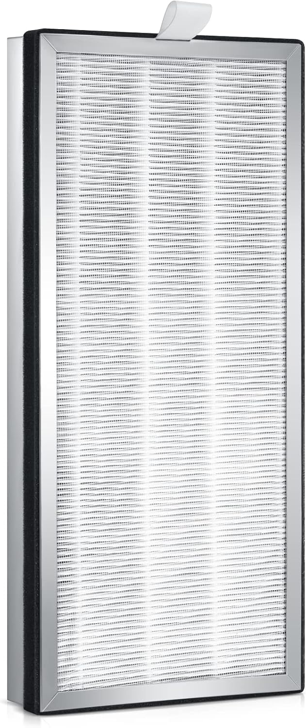 2 Pack H13 True HEPA Replacement Filter with Activated Carbon Filter G4570