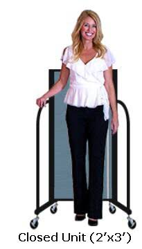 5 Panel Room Divider I979