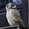Night Owl Statue F428063
